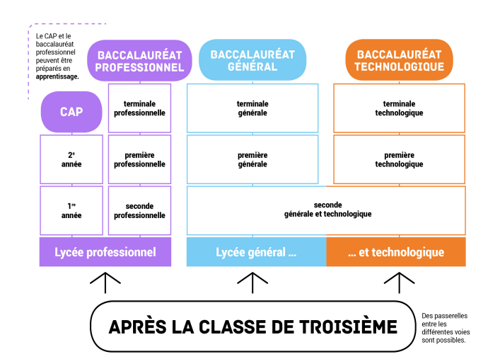 la_scolarite_au_lycee_infog_1212302.png